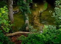 Pierre RICH - Pierre Rich